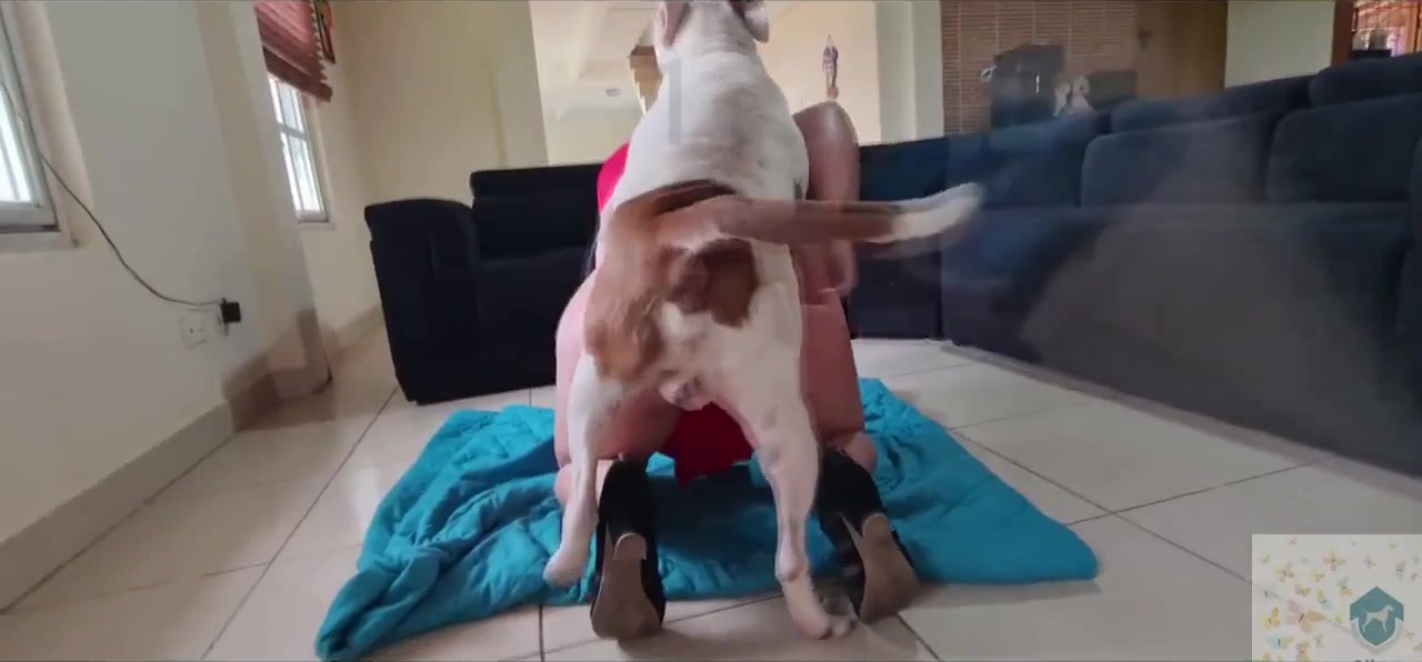 Бір саңылаудағы екі әтеш сперму